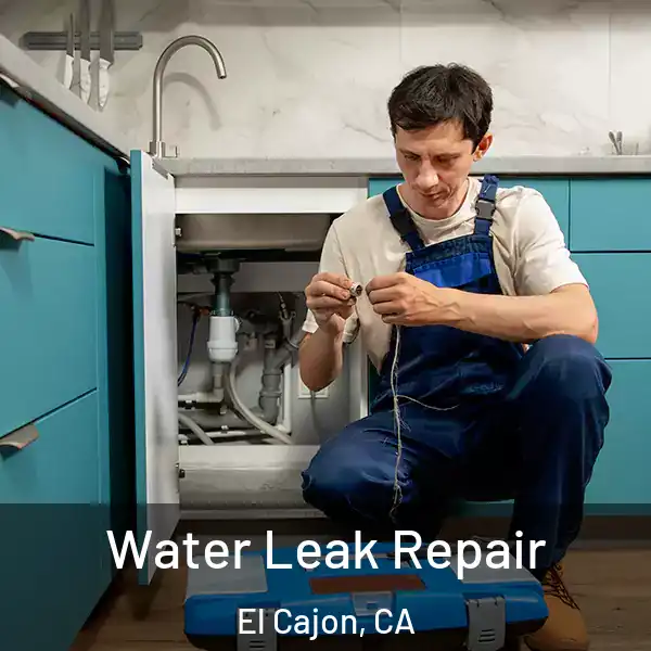  Water Leak Repair El Cajon, CA
